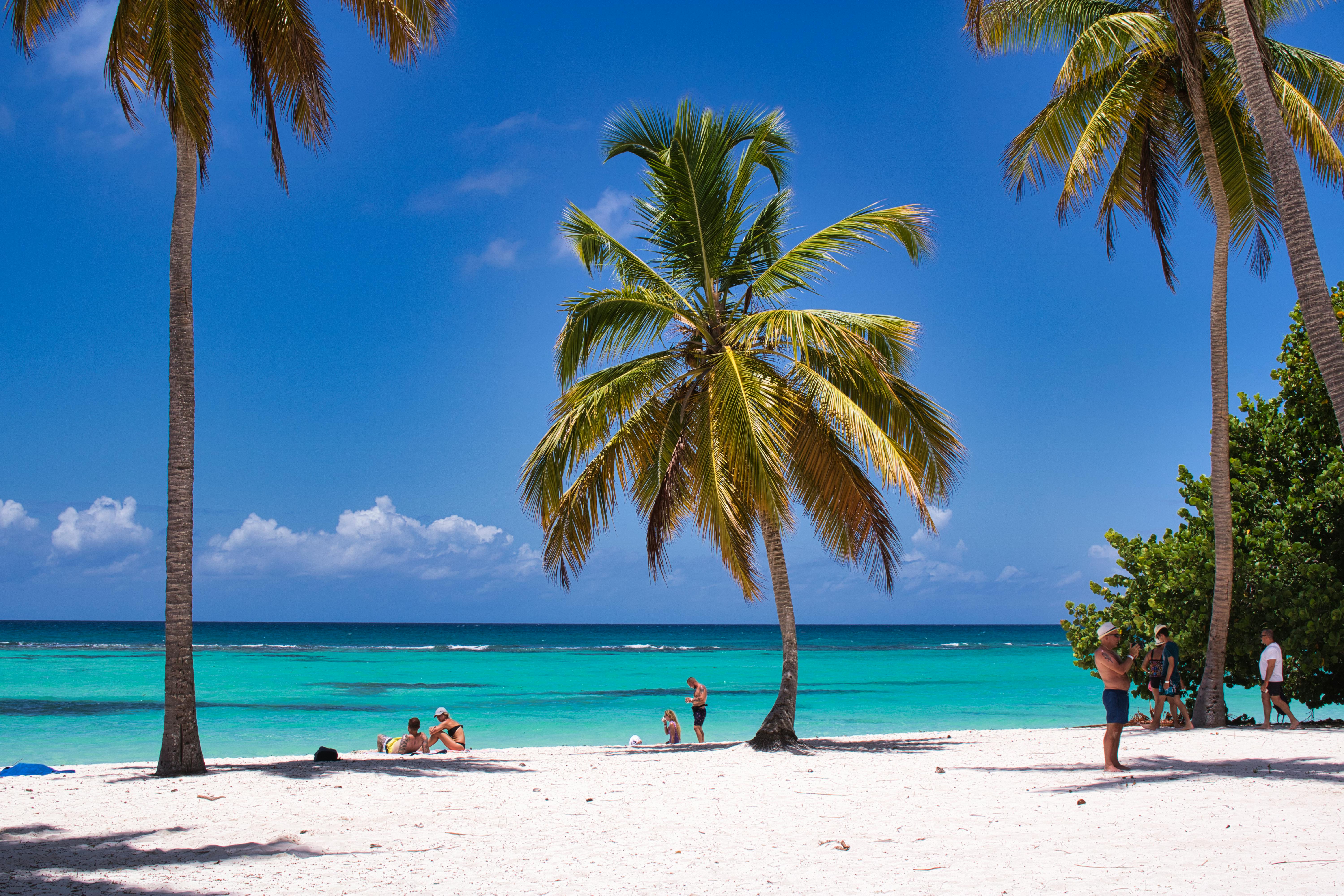 Caraibi & Tropici