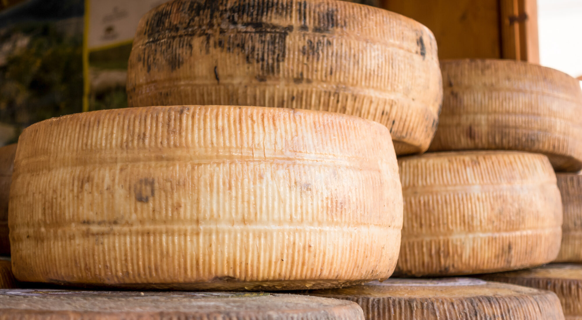 PARMA E IL PARMIGIANO REGGIANO